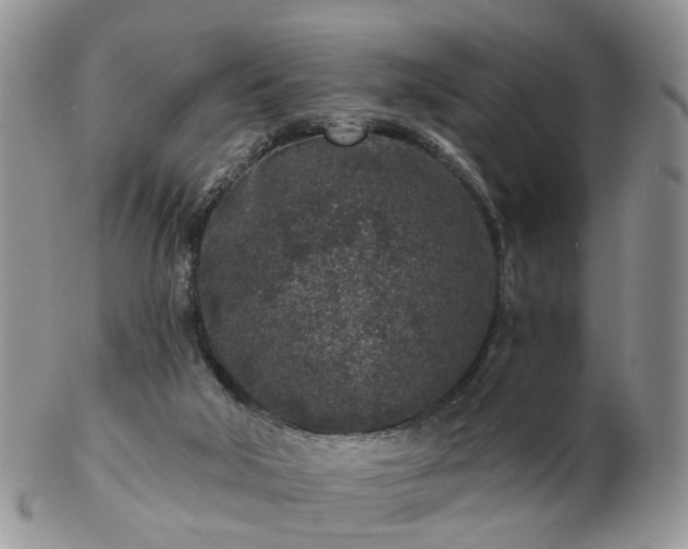 X0000102830018200808251144