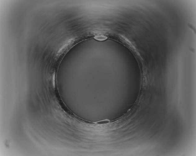 X0000102830019200808251144