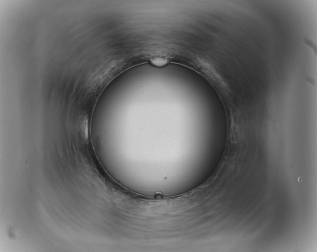 X0000102830021200808251144