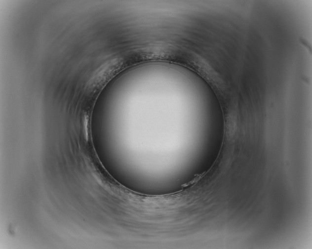 X0000102830022200808251144