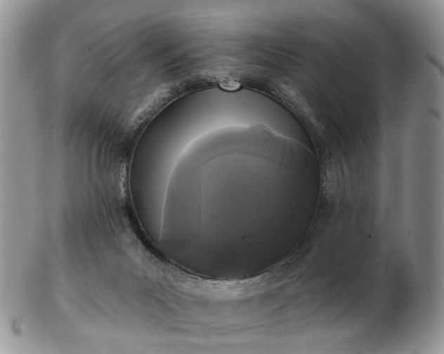 X0000102830023200808251144