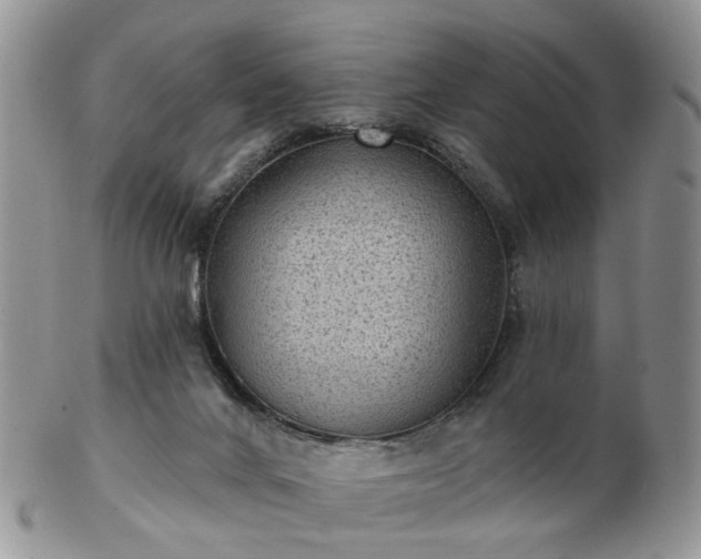 X0000102830024200808251144