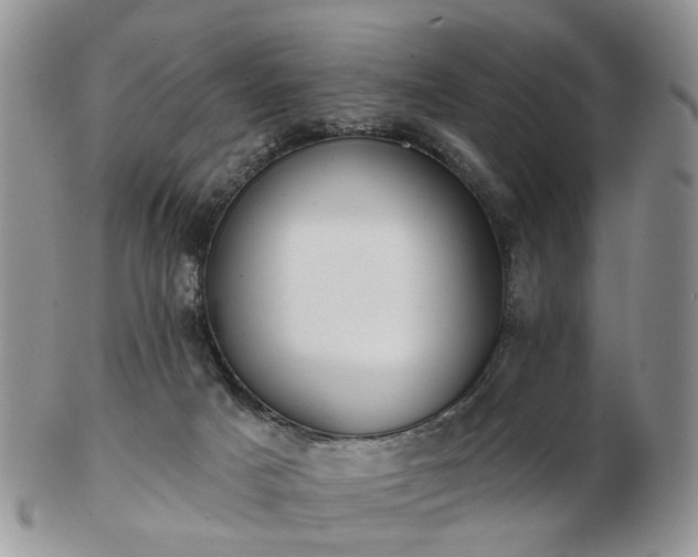 X0000102830025200808251144