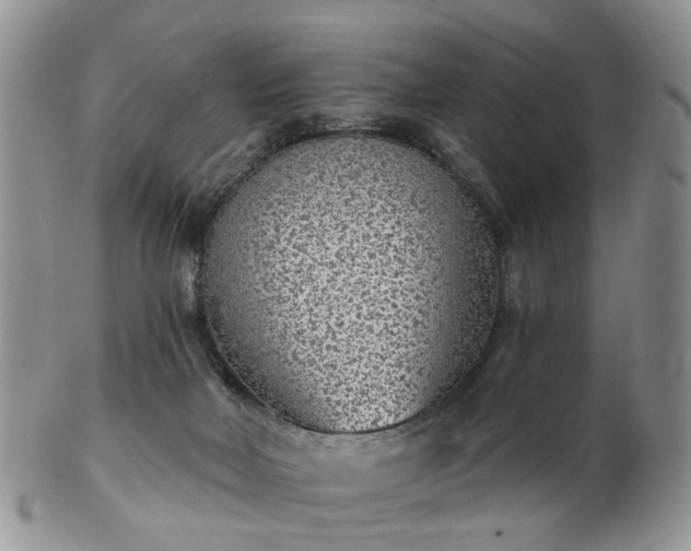 X0000102830026200808251143