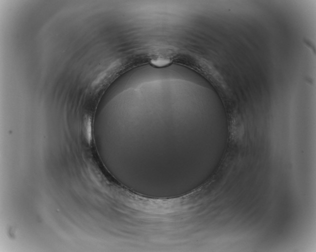 X0000102830027200808251143