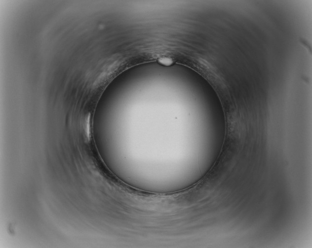 X0000102830028200808251143