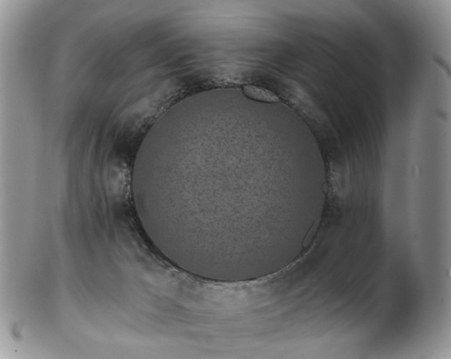 X0000102830029200808251143