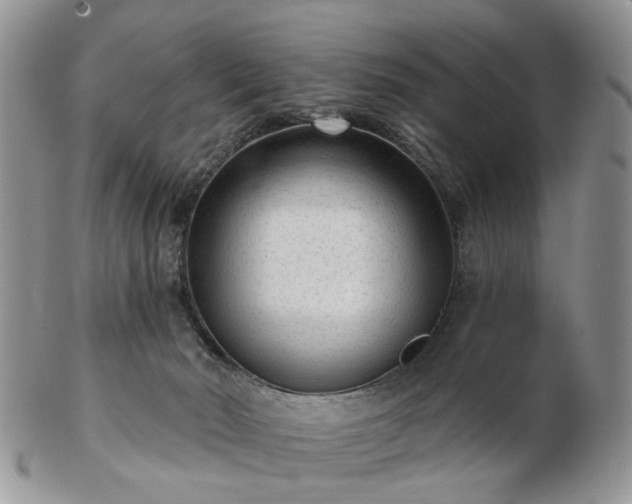 X0000102830030200808251143