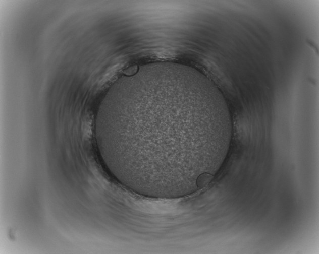 X0000102830032200808251143