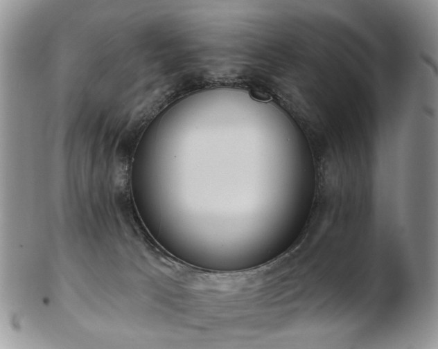 X0000102830033200808251143