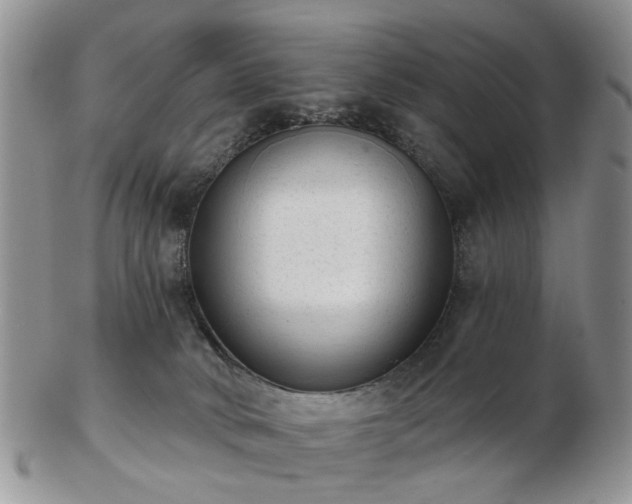 X0000102830034200808251143