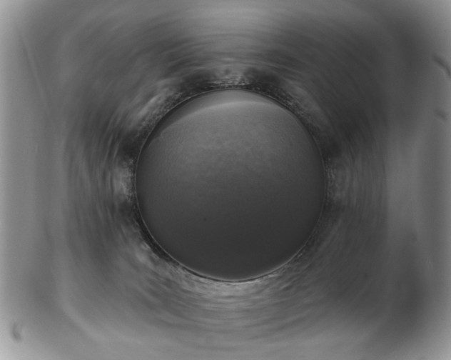 X0000102830035200808251143