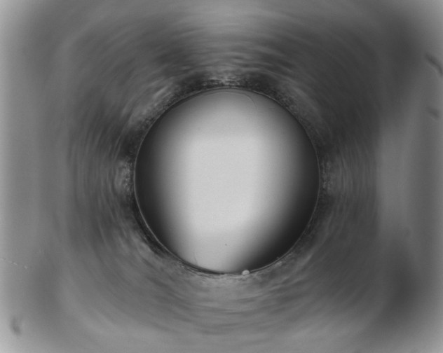 X0000102830036200808251143