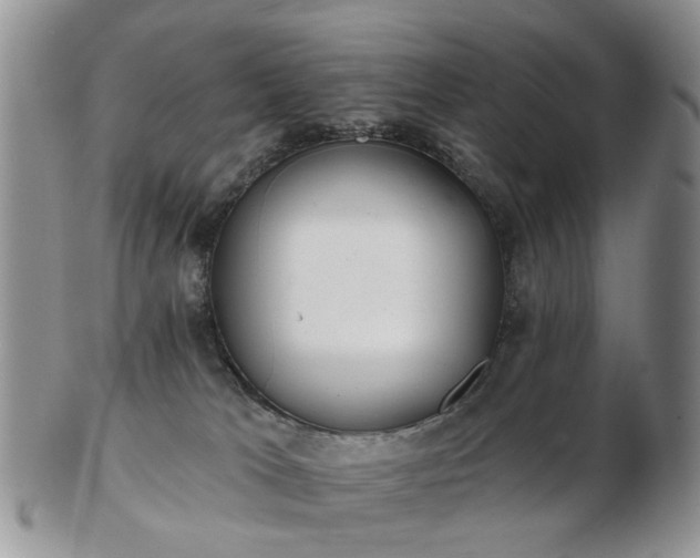 X0000102830037200808251143