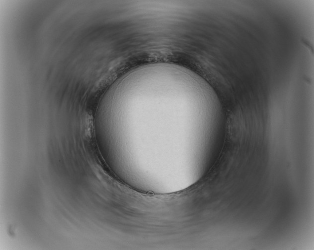 X0000102830038200808251143