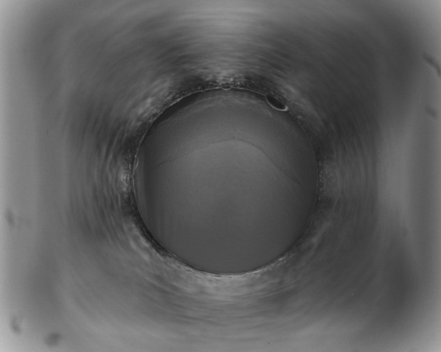 X0000102830039200808251143