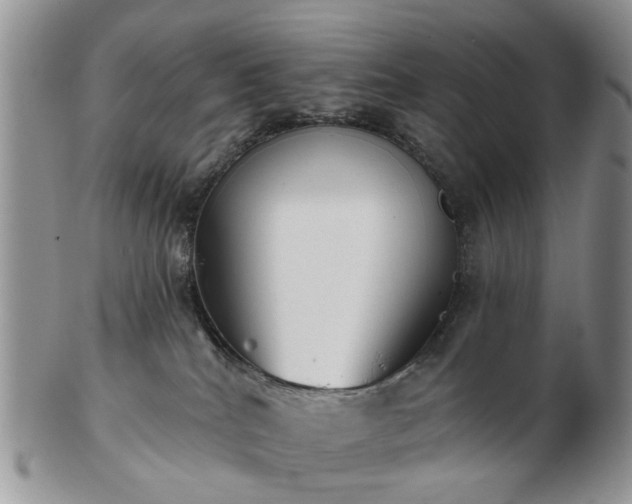 X0000102830040200808251143