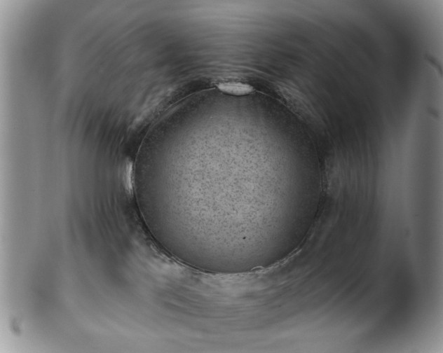 X0000102830041200808251143