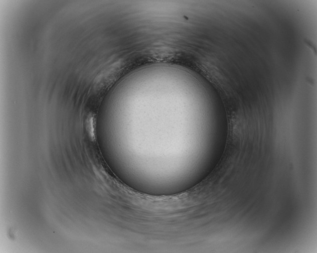 X0000102830042200808251143