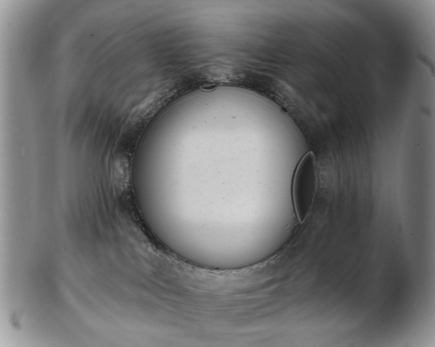 X0000102830043200808251143