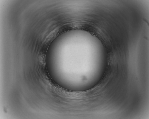 X0000102830044200808251143