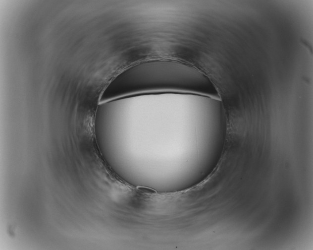 X0000102830045200808251143