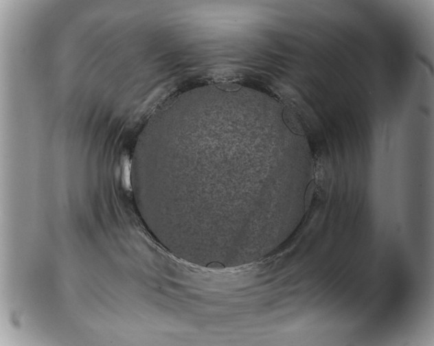 X0000102830046200808251143