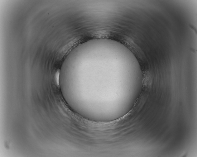 X0000102830047200808251143