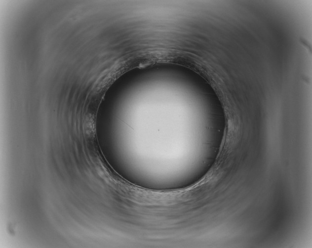 X0000102830048200808251143