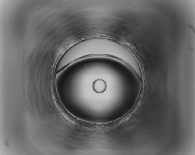 X0000102830049200808251143