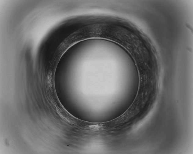 X0000102830050200808251143