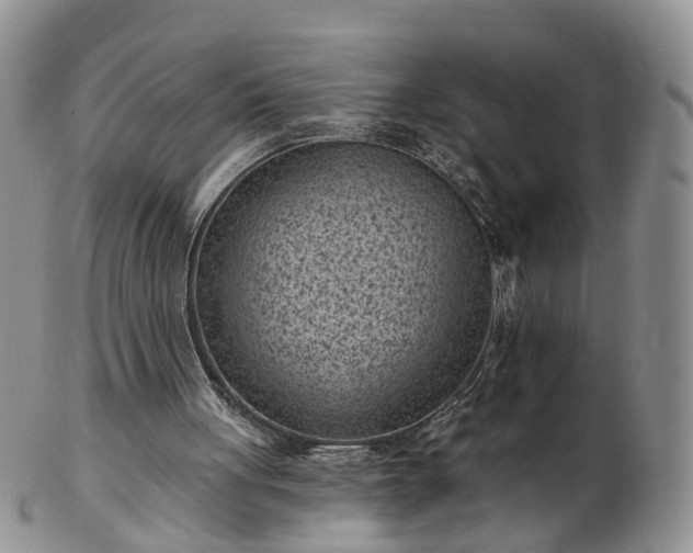 X0000102830051200808251143