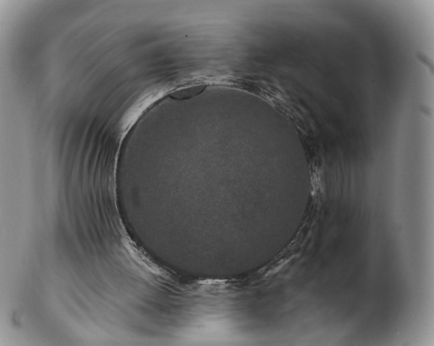 X0000102830052200808251143