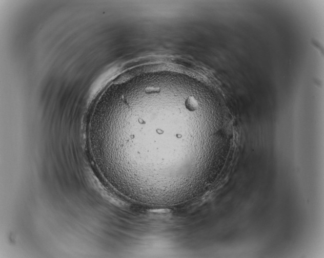 X0000102830053200808251143