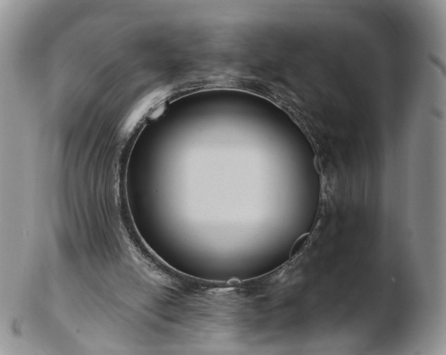 X0000102830054200808251143