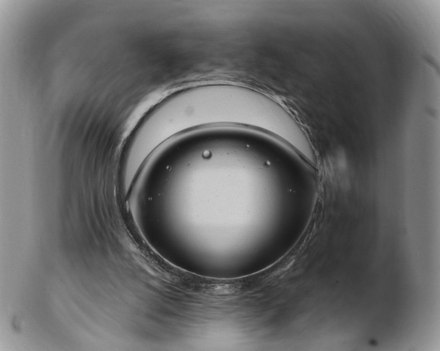 X0000102830056200808251143