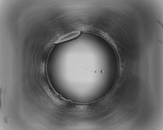 X0000102830057200808251143