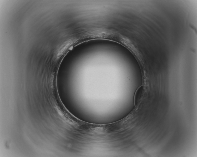 X0000102830058200808251143