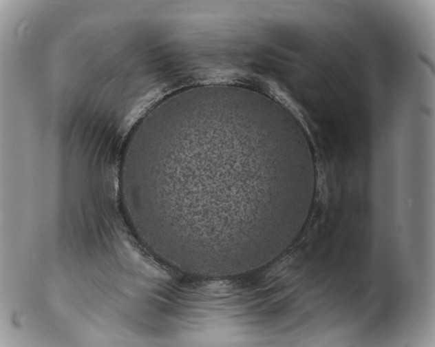 X0000102830059200808251143