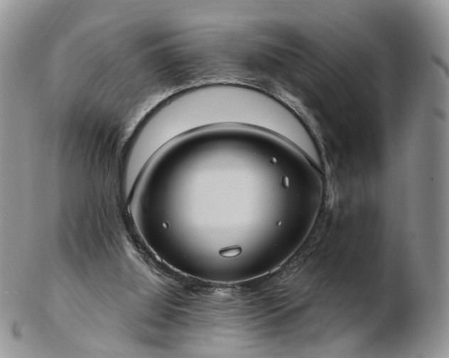 X0000102830060200808251143