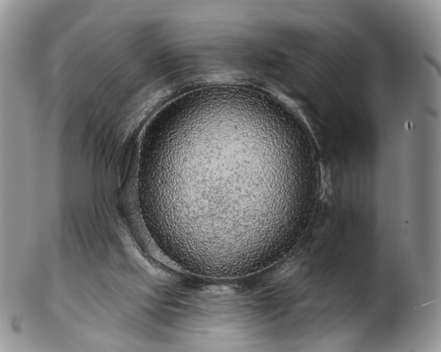 X0000102830061200808251143