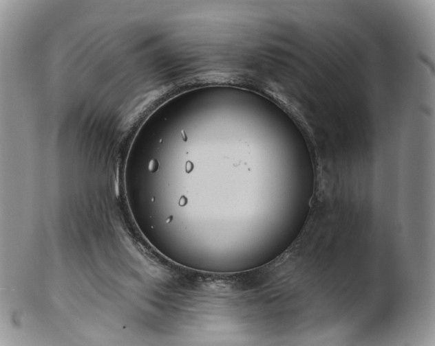 X0000102830062200808251143