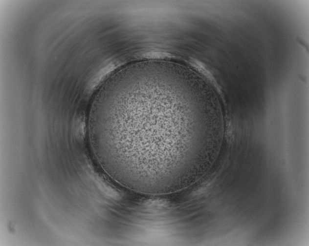 X0000102830063200808251143