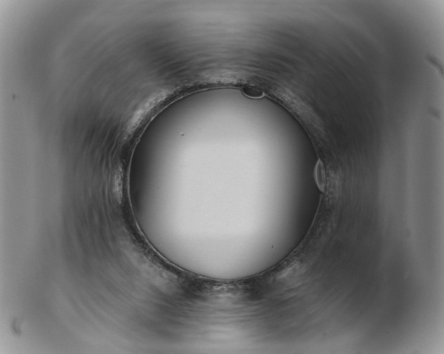 X0000102830064200808251143