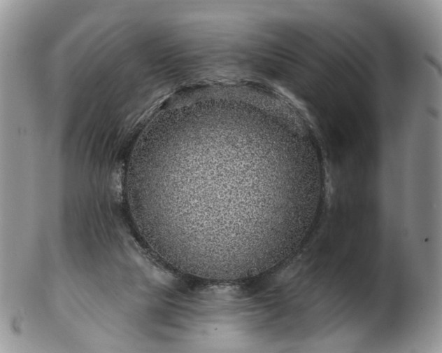 X0000102830065200808251143