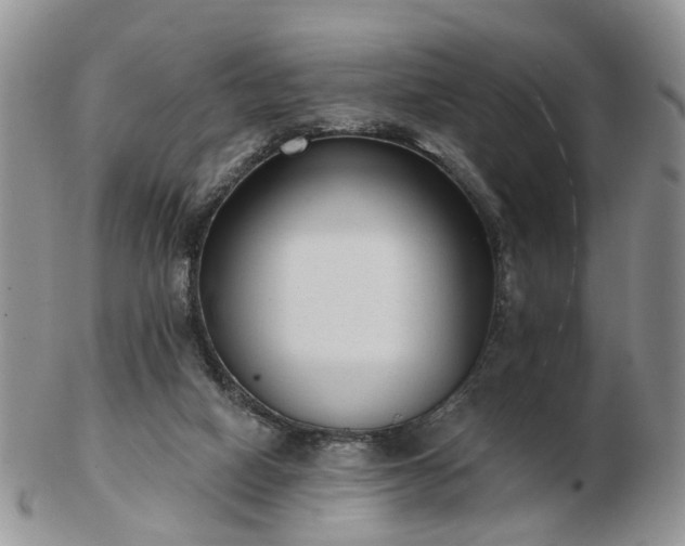 X0000102830066200808251143