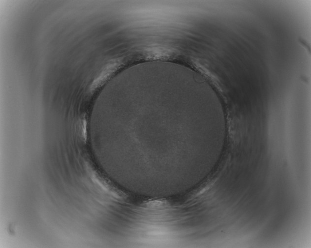 X0000102830067200808251143