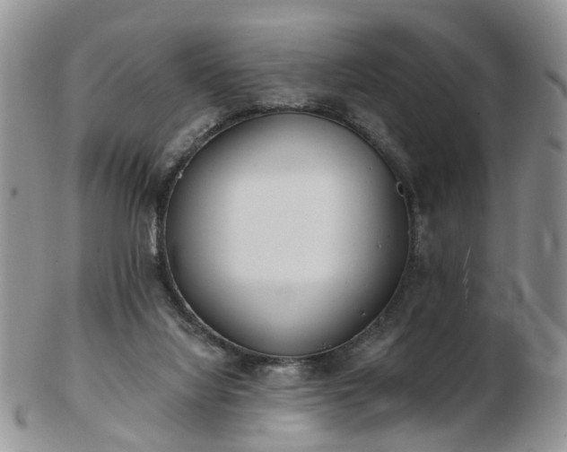 X0000102830068200808251143