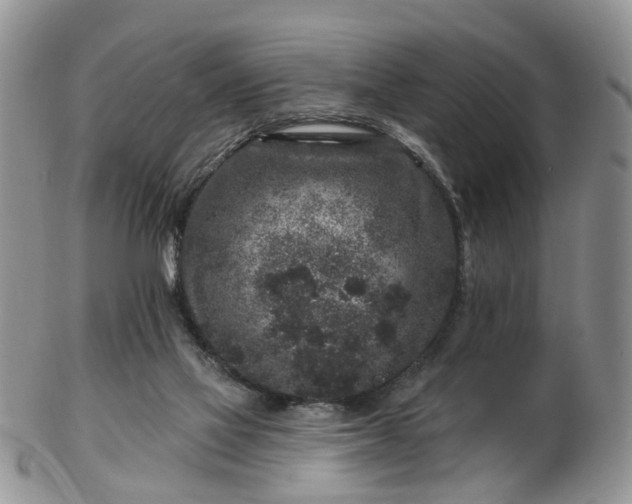 X0000102830069200808251143