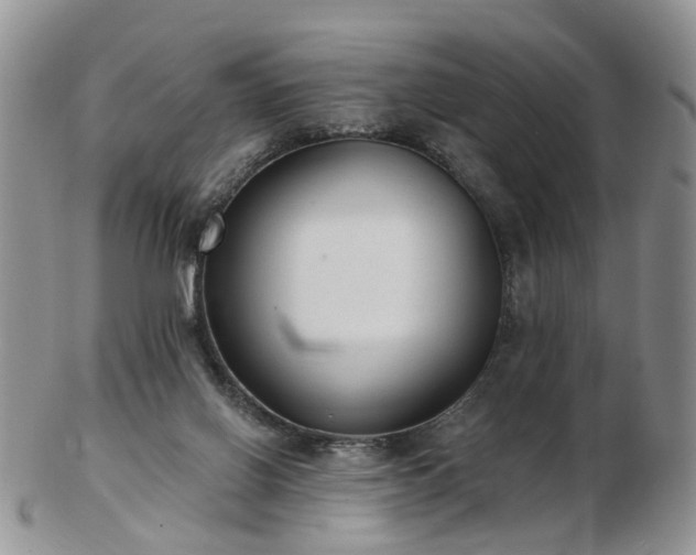 X0000102830070200808251143